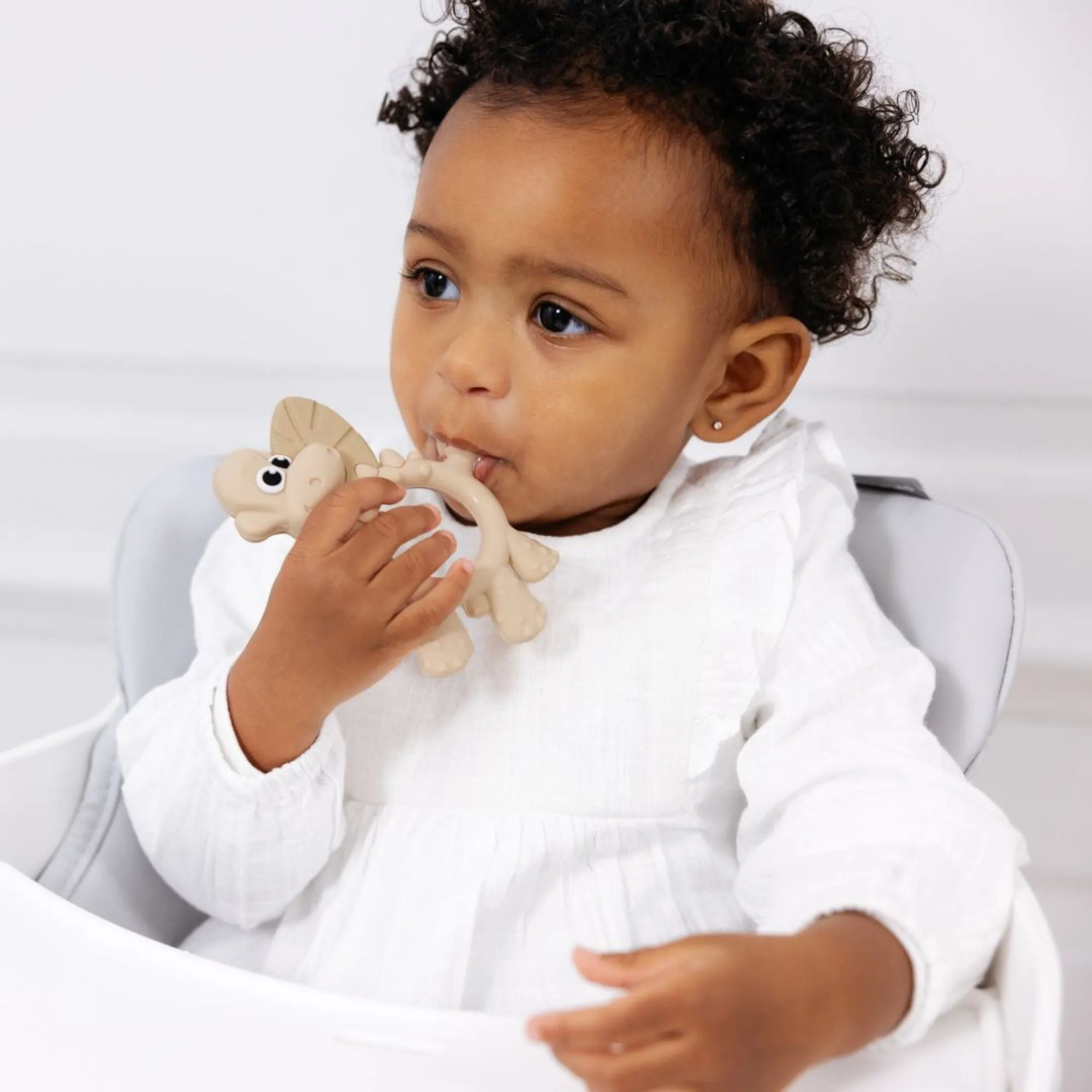 BiBaDo Dotty the Dinosaur- Silicone Multi Sensory Teether - Fawn- 3m 