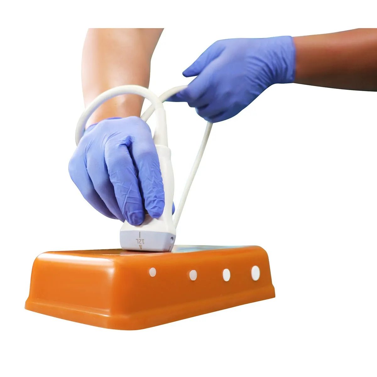 HM4.0 Reusable 4 Vessel Ultrasound Training Model