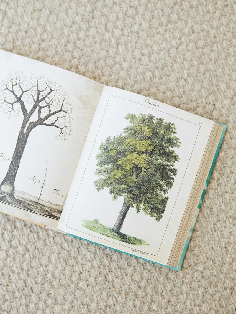 John Derian Sticker Book