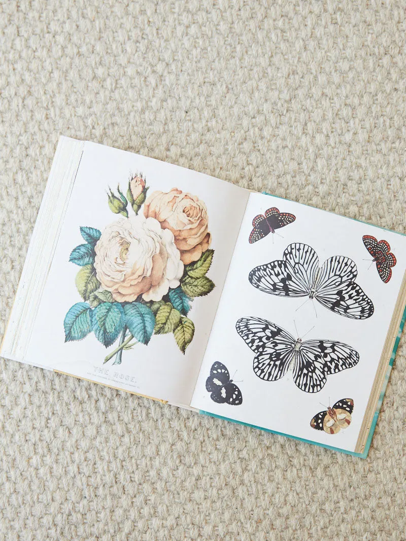 John Derian Sticker Book