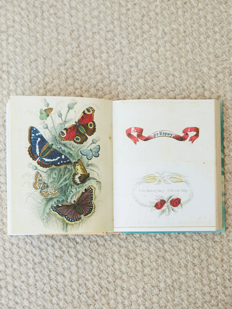 John Derian Sticker Book