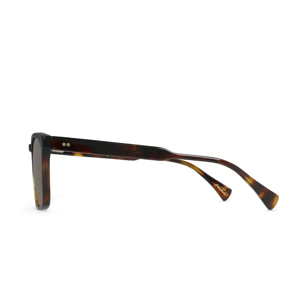 Pierce Sunglasses ( Kola Tortoise   Brown)